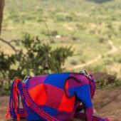 LA BORSA LIMITED EDITION DI LOEWE IN AIUTO DEGLI ELEFANTI